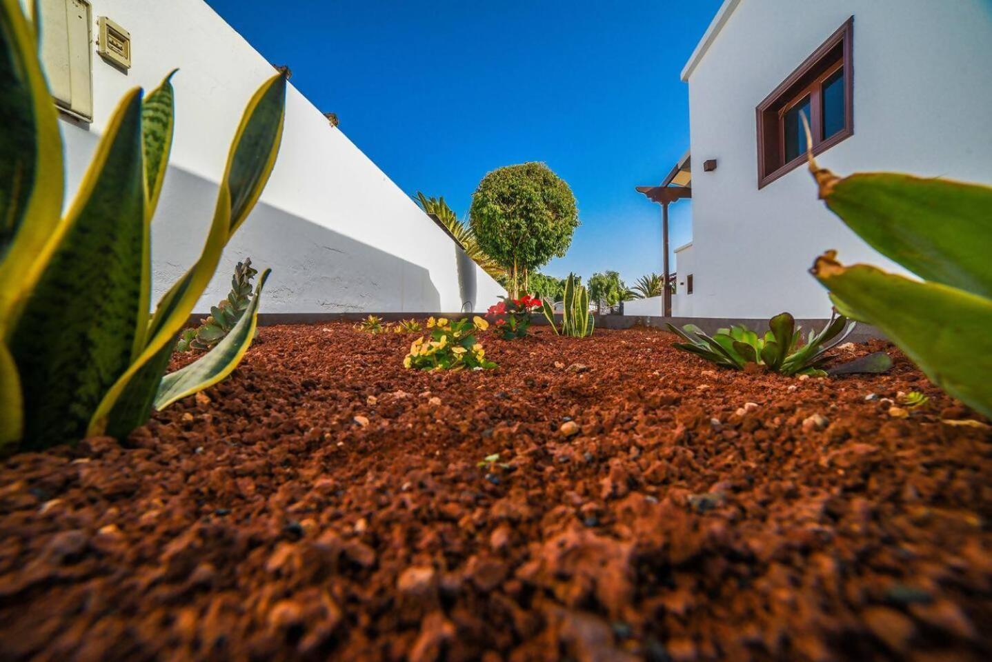 Agradable Y Familiar Con Piscina Casa Inima Villa Playa Blanca Dış mekan fotoğraf